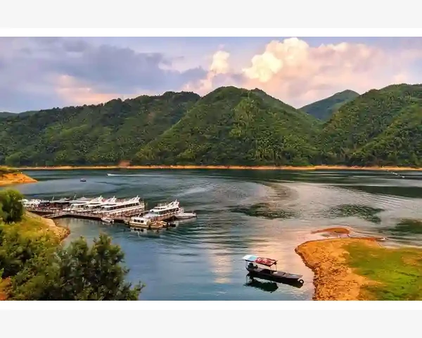 脾胃湿气重是否导致口中反酸？揭开隐藏的健康秘密