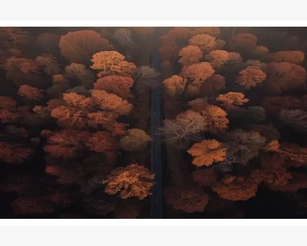 夏至养生的3大忌，教你远离炎热中的健康困扰